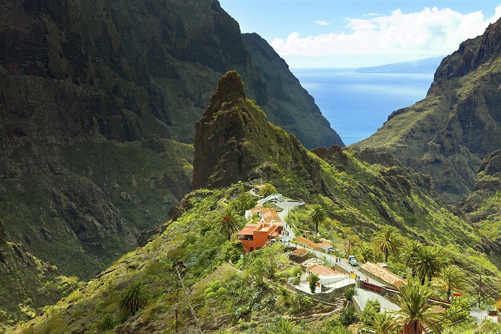 zielone lasy na teneryfie 